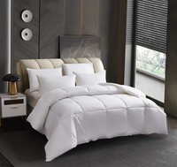 Parure de lit hôtelière haut de gamme classique en coton pur tissé, 300 fils, écologique, toutes saisons, personnalisable pour la vente en gros