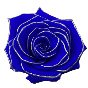 Fleurs Éternelles USA : Têtes de Roses Préservées Style Chansons, Qualité Supérieure pour Événements Spéciaux - Product Image 4