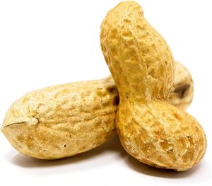 Cacahuetes con Cáscara de Primera Calidad en Venta, 99% de Pureza, Suministro a Granel de Fábrica para Fabricantes de Alimentos - Product Image 1