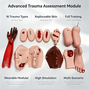 Conjunto Completo de Módulos de Entrenamiento para el Manejo de Traumas: Quemaduras, Laceraciones, Heridas de Bala para Educación Médica de Emergencia, Certificaciones CE, ISO, ROHS, CNAS - Product Image 1