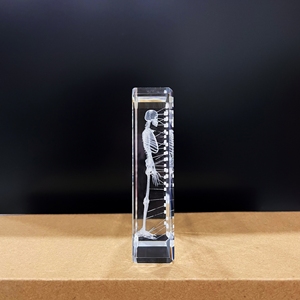 Cubo de Cristal con Grabado Láser 3D, Modelo Anatómico de Esqueleto Humano, Regalo Médico <span class=keywords><strong>para</strong></span> <span class=keywords><strong>Doctores</strong></span>, Herramienta de Enseñanza de Ciencias - Product Image 3