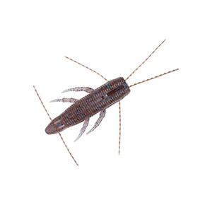 Leurre souple Daiwa Steez Bramo Shrimp 26mm, appât de fond haute densité pour la pêche au bar, leurre biomimétique réaliste - Product Image 1