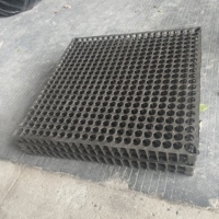 Celdas de drenaje Tablero de drenaje de HDPE de 500mm Sistema moderno de techo de garaje Paisaje Jardín Presa Campo de fútbol Campo de golf Tablero de goteo