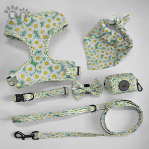 Terbaru diinginkan poliester dapat disesuaikan peliharaan indah <span class=keywords><strong>Harness</strong></span> dicetak dasi kupu-kupu kerah anjing dan Set tali jala bernapas rompi anjing - Product Image 2
