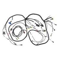 Kabel Harness Konektor ECU Mobil Kustom Dengan Konektor Kabel Mobil Am Phenol untuk Elektronik Otomotif