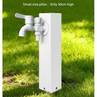 Robinet de sol double sortie en acier inoxydable 304 pour extérieur, jardin, villa, étanche, protection contre les basses températures, montage au sol 2