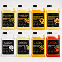 Minyak Biji Blackcurrant OEM ODM Pemasok Minyak Pembawa Alami Label Pribadi Kemasan Kustom Pabrik Langsung Produsen Grosir