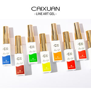 Caixuan-delineador de Gel de pintura, conjunto de 24 colores, logotipo personalizado, nuevo - Product Image 4
