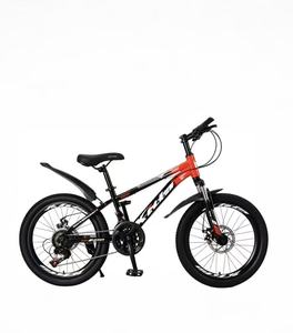 21 vitesses avec dérailleur domestique, cadre en acier soudé à l'argon, peinture bicolore avec décalcomanies internes, boîtier de pédalier scellé - Product Image 2