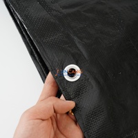 Bâche en polyéthylène double couche, matériau robuste pour applications extérieures à long terme