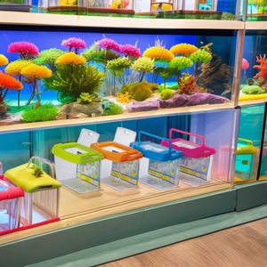 Transparante Huizen Kleine Aquarium Dieren Huisdier Kooien Dragers Plastic Aquarium Reptiel Schildpad <span class=keywords><strong>Tank</strong></span> Kikker Kooi Doos Met Handvat - Product Image 6