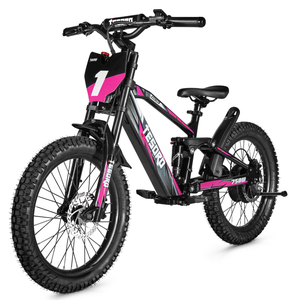 Draisienne Électrique Tout-Terrain pour Enfants TESORO Lianmei 18 Pouces 20 Pouces 350W 500W 750W Sans Pédales - Product Image 5