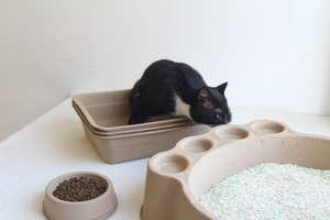 Litière pour chat jetable Melody OEM en forme de patte de chat, capacité 33L, écologique, facile à nettoyer, pour voyage, intérieur et extérieur - Product Image 2