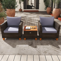 Ensemble de salon de jardin en osier tressé avec table basse de rangement – Vente chaude