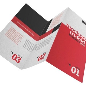 Flyers de Luxe Personnalisés en Papier Couché A4, Imprimés Offset CMJN, Pelliculés, pour Diplôme, Affaires et Usage Médical – Prix Abordable - Product Image 2