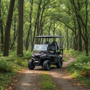 Carro de golf metálico de 5-6 asientos, de acero y plástico, para caza, todoterreno, con controlador - Product Image 1