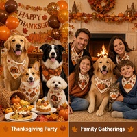 Colliers pour animaux de compagnie mignons et doux, personnalisables, décoratifs pour les fêtes, imprimés feuilles d'érable et citrouilles, pour chats et chiens - Matière polyester, Halloween