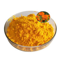 Poudre de marigold naturelle sèche avec lutéine, extrait végétal sous vide pour une vision améliorée