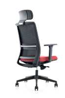 Chaise de bureau ergonomique haut de gamme en mesh avec soutien lombaire et fonctions réglables