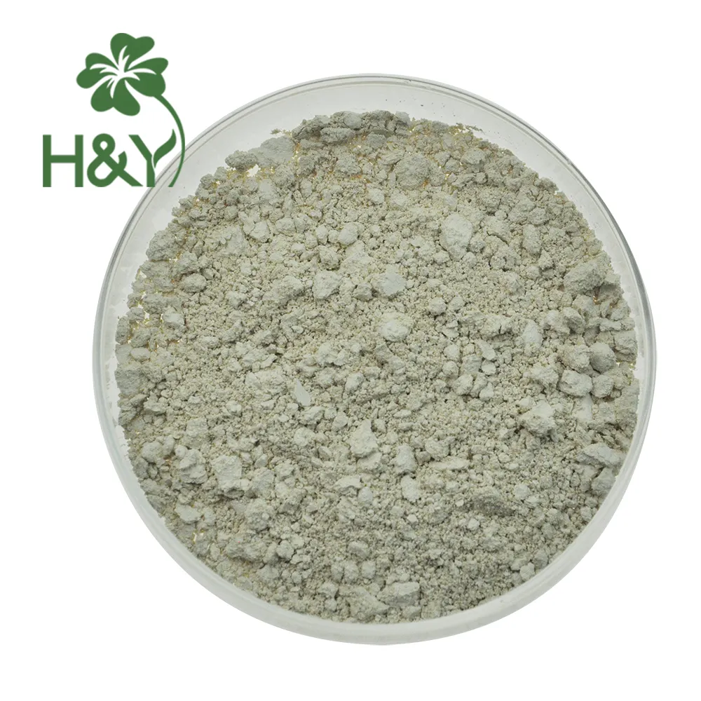 Nhà Máy Cung Cấp Douglas Fir Extract Taxifolin Bột Chống Oxy Hóa Dihydroquercetin 90%