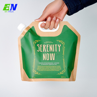 Sac souple personnalisé OEM transparent avec poignée et bec verseur 4L 5L pour boissons gazeuses, utilisation extérieure