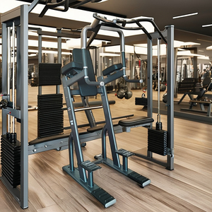 Équipement de gymnastique commerciale MACHINE VERTICALE <span class=keywords><strong>KNESS</strong></span> UP/DIP GYM - Product Image 1