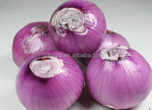 <span class=keywords><strong>Union</strong></span> Processing integrato macchina per taglio radice di cipolla e Peeling per la ristorazione industrie aggiornato linea di produzione - Product Image 5