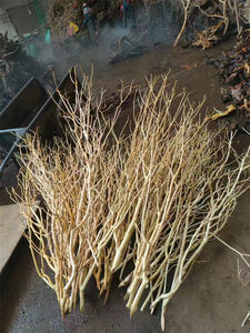 <span class=keywords><strong>Thailand</strong></span> Tak Xi Wortels Drift Hout <span class=keywords><strong>Aquarium</strong></span> Gewei Tak Hout Voor Decoratieve Voor Fish Tank - Product Image 6