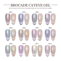Vente en gros de vernis à ongles Fournitures Brocart Cat Eye Gel Diamond Reflective Gel Polish 1kg Kilogrammes