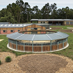 Caminador para Caballos de Acero Galvanizado para Exteriores con Diseño Duradero, Máquina Caminadora para Caballos Eléctrica Económica con <span class=keywords><strong>Velocidad</strong></span> Ajustable - Product Image 6