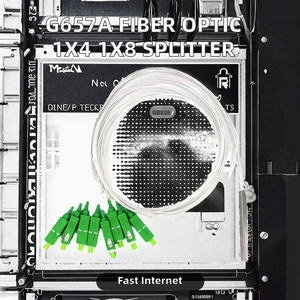 YG YGPLC-004 Single-Mode G657A Fiber <b>Cable</b> PLC 1x4 1x8 for FTTH Wi-Fi 4G Connectivity Network Equipment - Product Image 2