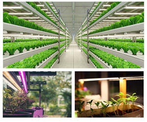 Lumière de croissance de plantes LED transfrontalière Tube T8 18W 36W Supplément à spectre complet pour légumes à feuilles succulentes PVC IP65 Intérieur - Product Image 5