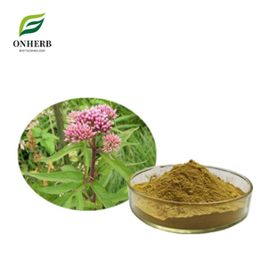 Pasokan pabrik 100% ekstrak <span class=keywords><strong>Lycopus</strong></span> <span class=keywords><strong>lucidus</strong></span> alami bubuk ekstrak 99% eupatory adenophorum - Product Image 1