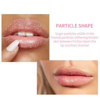 Soins des lèvres au sucre de pastèque naturel, marque privée OEM, ensemble 4 en 1, masque de nuit pour les lèvres et gommage pour les lèvres