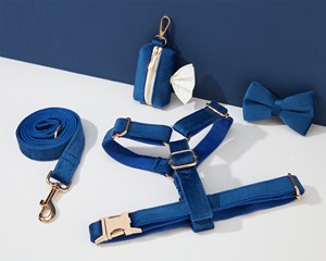 Juego de perro y correa Royalblue Veet, arnés personalizado para cachorros + Collar + pajarita + soporte para bolsa de caca, paquete de arnés de Boda sin tirones - Product Image 3
