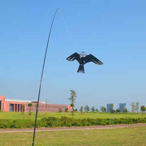 Cerf-volant <span class=keywords><strong>anti</strong></span>-oiseaux en forme d'aigle, design réaliste de faucon pour la protection du jardin, facile à piloter, cerf-volant <span class=keywords><strong>anti</strong></span>-oiseaux pour la lutte contre les nuisibles en extérieur - Product Image 3