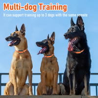 Hundetrainingshalsband IPX7 Wasserdicht Wiederaufladbar Reflektierendes TPU-Halsband mit Piepton Vibration Statischer Schock Anti-Fehlbedienung Tastensperre