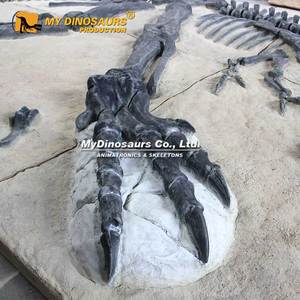 <span class=keywords><strong>Jeu</strong></span> de fouilles sur le thème des dinosaures My <span class=keywords><strong>Dino</strong></span> DS-125 : Panneau de fossile de <span class=keywords><strong>T</strong></span>-<span class=keywords><strong>Rex</strong></span> - Product Image 6