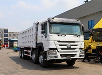 Готов к отправке самосвал HOWO 8x4 371 л.с., 12 колес, 25 куб. м, быстрая доставка для рынка Африки