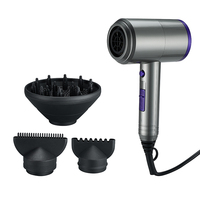 Vente en gros de sèche-cheveux professionnel à moteur à courant alternatif de marque privée marteau puissant sèche-cheveux compact pour salon, maison et hôtel