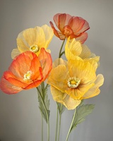 Bangni E19 Grandes fleurs géantes artisanales en papier (pivoine et coquelicot) pour toile de fond de mariage, décoration événementielle, décoration murale, décoration écologique