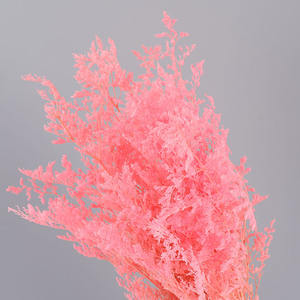 ดอกลิโมเ<span class=keywords><strong>น</strong></span>ียมแห้งธรรมชาติขายส่ง สำหรับตกแต่งบ้านในเทศกาลอีสเตอร์ ขนาด 70 ซม. - Product Image 4