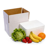 Boîte isotherme personnalisée en polystyrène de qualité alimentaire, glacière en polystyrène, boîte à fruits de mer et médicaments en mousse EPS