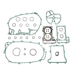 Kit completo de juntas (juntas de aceite no incluidas) - Product Image 1