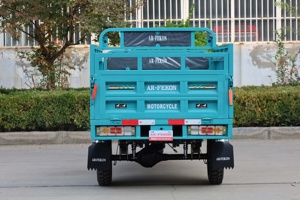 <span class=keywords><strong>Tricycle</strong></span> à Essence FEKON 200 CC / 250 CC, <span class=keywords><strong>Tricycle</strong></span> <span class=keywords><strong>Adulte</strong></span>, <span class=keywords><strong>Moto</strong></span> à Trois Roues - Product Image 2