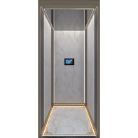 Ascenseur de villa en acier de style moderne avec miroir mural et plafond LED, design contemporain, capacité de 400 kg