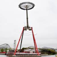 Équipement de terrain de jeu fou jeux pour adultes grand pendule gyro swing ride à vendre