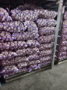 Proveedor de Ajo Blanco Puro Fresco de Shandong, Venta al por Mayor con Empaque en Bolsa de Malla, Nueva Cosecha de Primera Calidad - Product Image 5