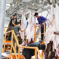 Abattoir modulaire pour l'abattage du bétail, équipement pour mini-abattoir