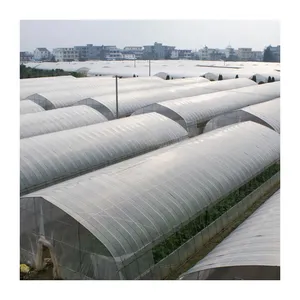 Sistem hidroponik komersial rumah kaca terowongan panjang tunggal jamur sayuran untuk pertanian